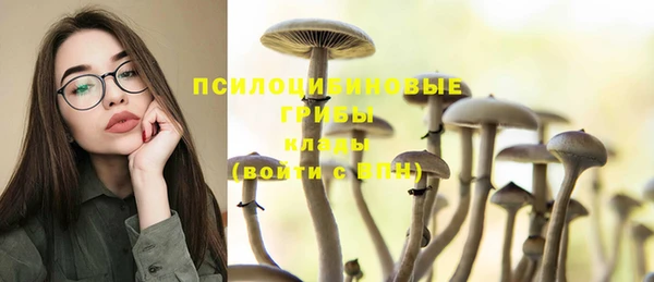 молекула духа Алзамай