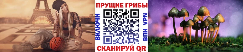 что такое   Елабуга  Псилоцибиновые грибы Psilocybe 