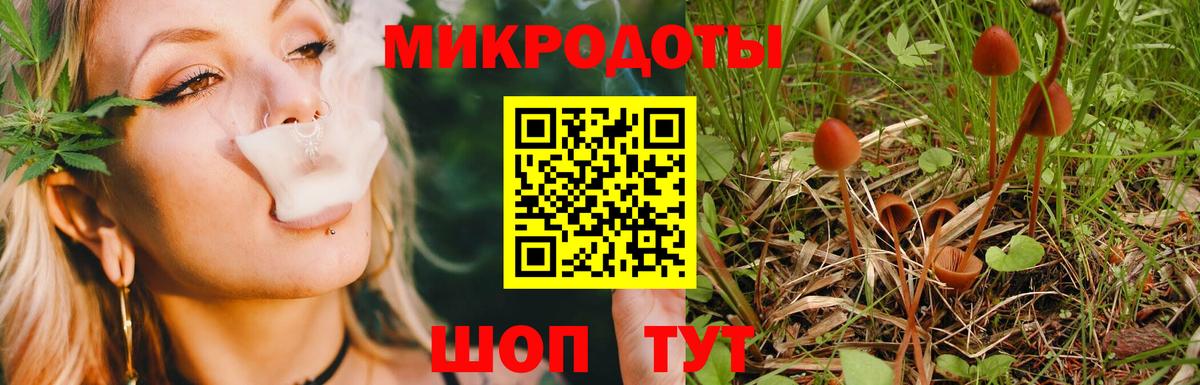 Псилоцибиновые грибы мухоморы Елабуга