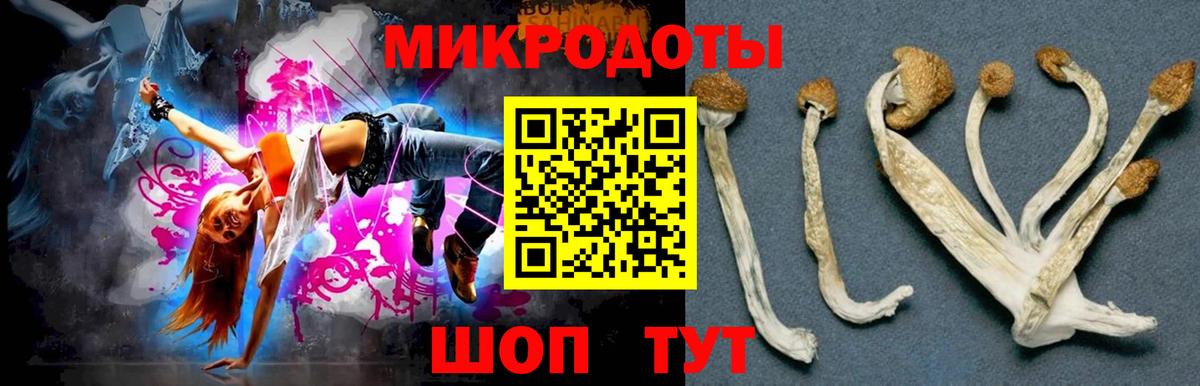 Елабуга  Галлюциногенные грибы Cubensis  Вход с VPN 